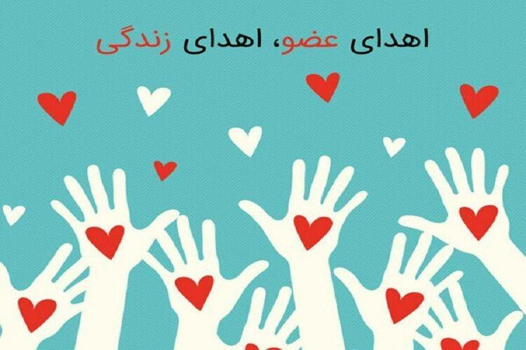 جوان مرگ مغزی به 5 بیمار زندگی دوباره بخشید جوان مرگ مغزی به 5 بیمار زندگی دوباره بخشید
